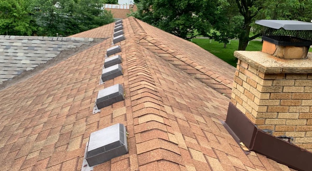exclusion work completed in lincoln home