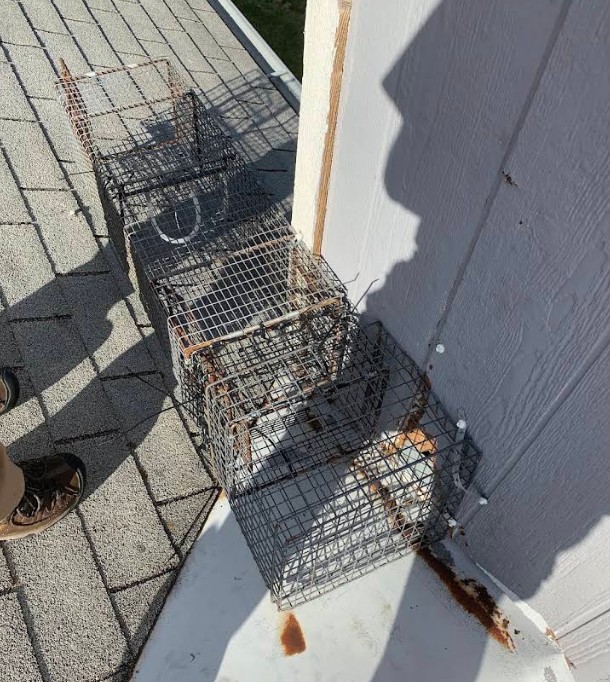 trap placed on lincoln home rooftop